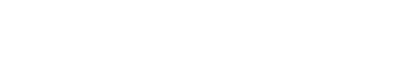 BLUECAT® Germany Logo